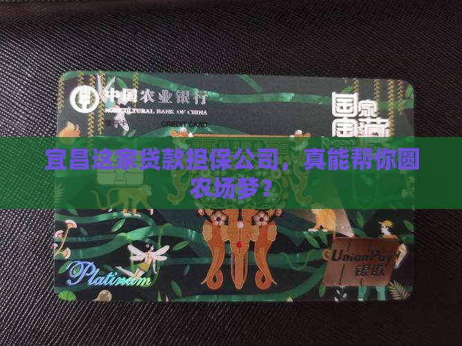 宜昌农业贷款担保公司