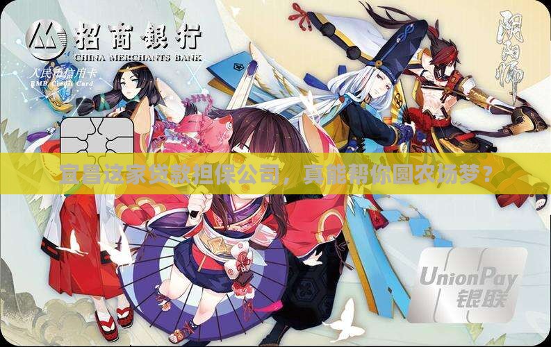 宜昌农业贷款担保公司
