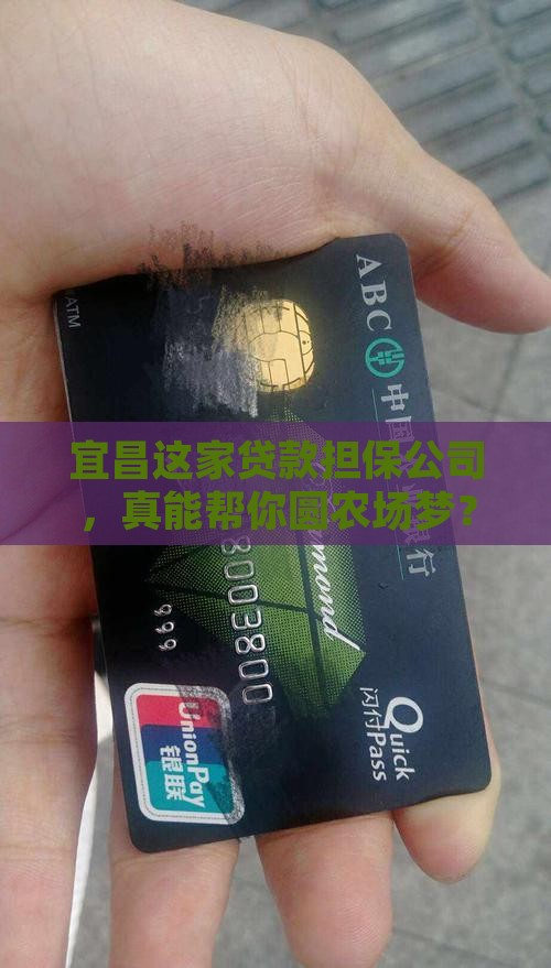 宜昌农业贷款担保公司