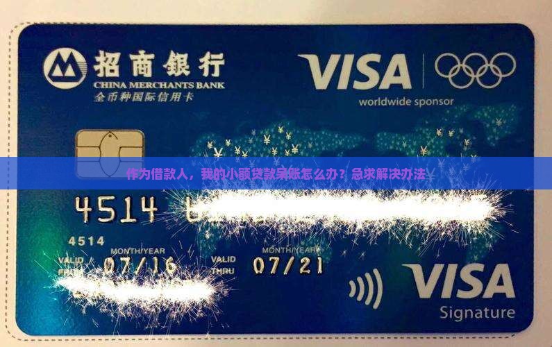小额贷款呆账如何处理