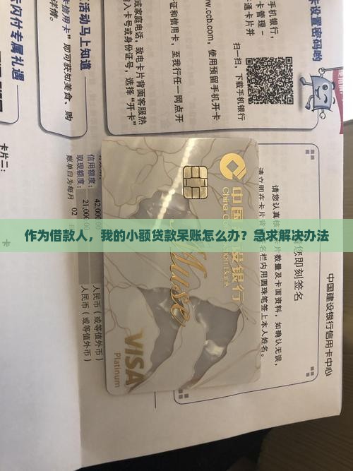 小额贷款呆账如何处理