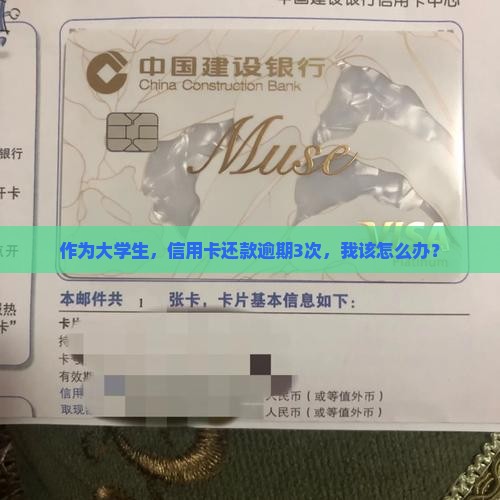在网络贷款逾期