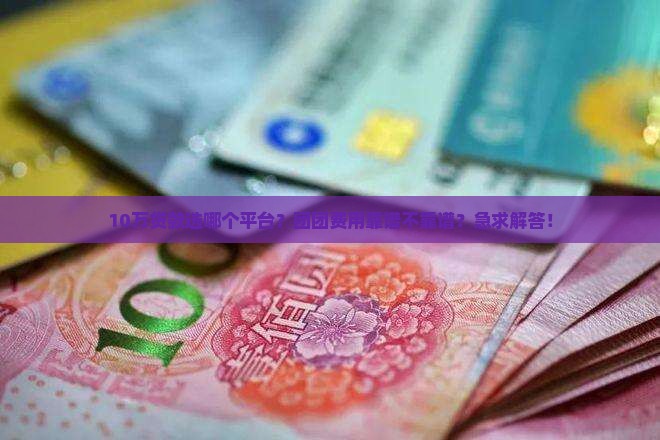 团团费用哪个贷款平台