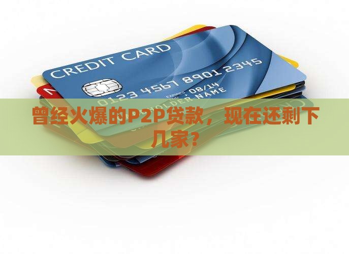现有p2p贷款还有几家