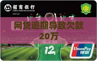 贷款平台欠20万