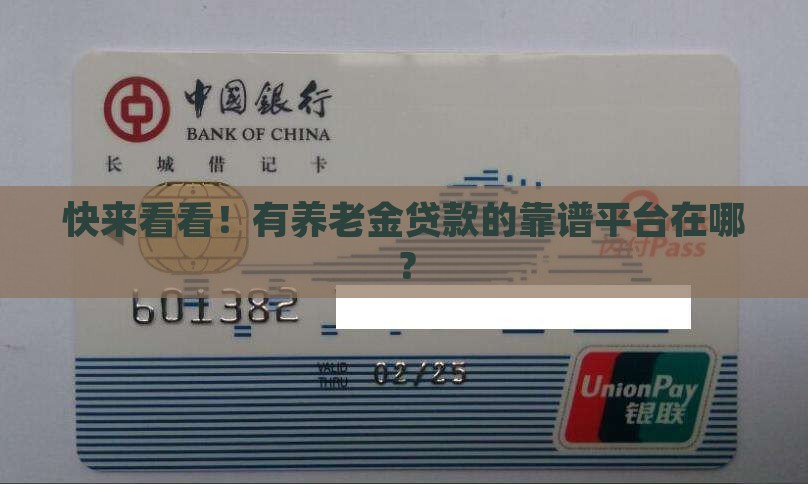 哪里有养老金贷款的平台