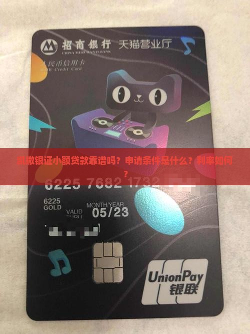 凯撒银证小额贷款
