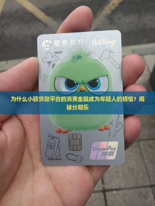 小额贷款平台消费金融