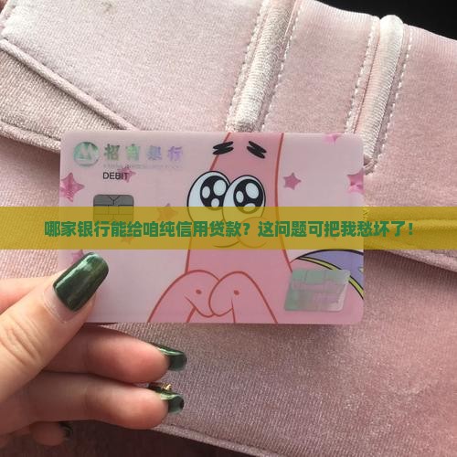 哪家银行可以纯信用贷款 哪家银行可以纯信用贷款