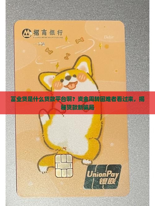 富业贷是什么贷款平台啊