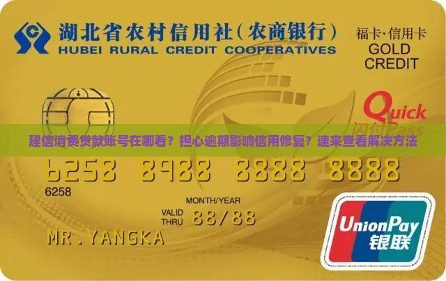 建信消费贷款账号在哪看