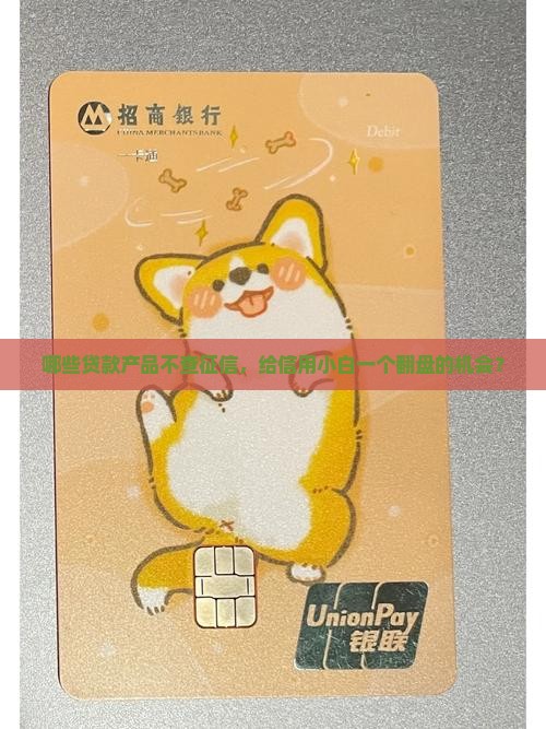 什么抵押贷款不看征信
