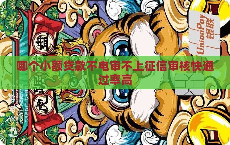哪个小额贷款不电审