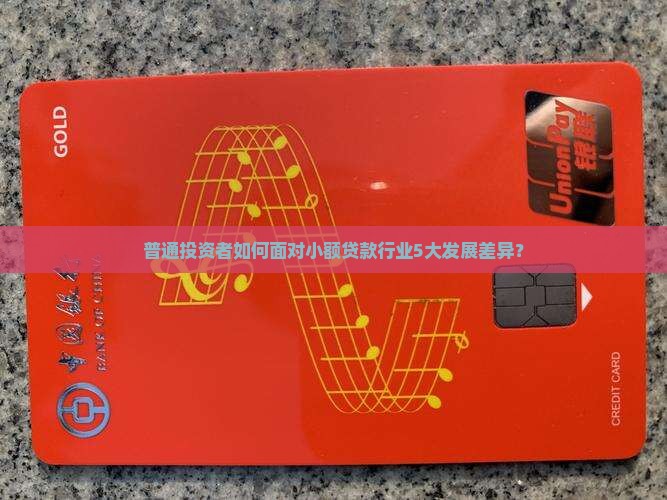 小额贷款发展差异