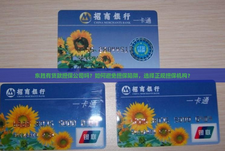 东胜有贷款担保公司吗