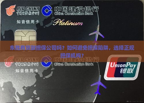 东胜有贷款担保公司吗