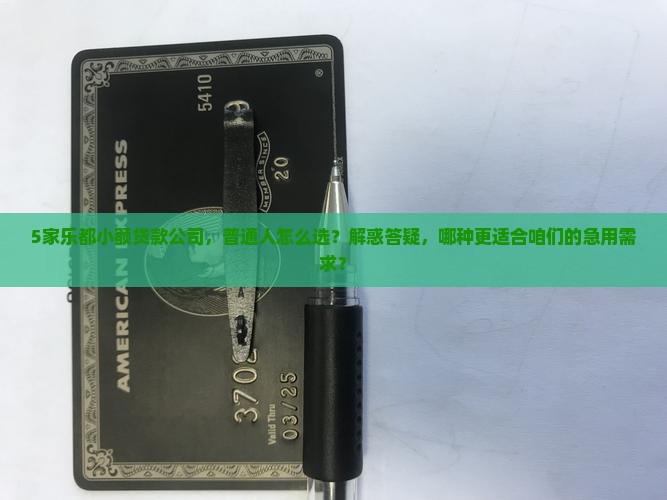 乐都小额贷款有几家
