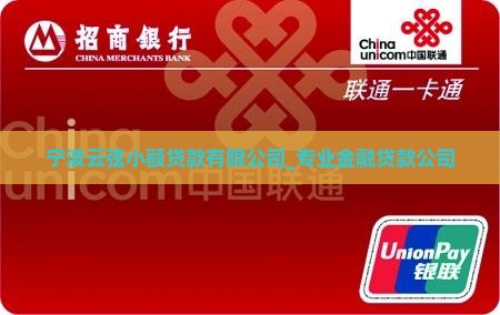 云弦小额贷款