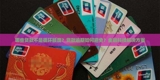 哪些贷款不是循环额度