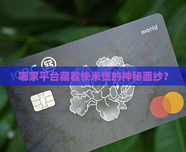 快米贷是哪家贷款平台