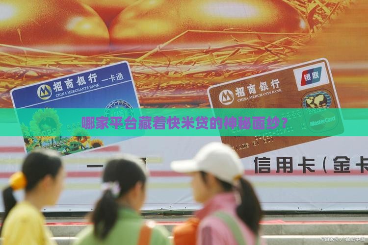 快米贷是哪家贷款平台