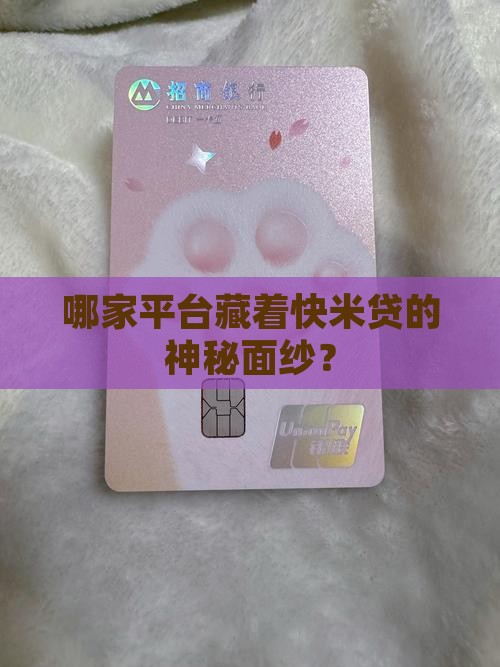 快米贷是哪家贷款平台