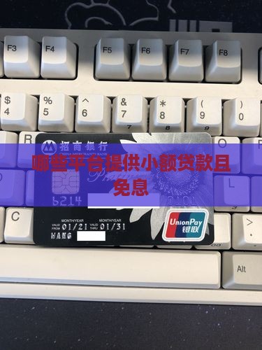 哪里小额贷款免利息