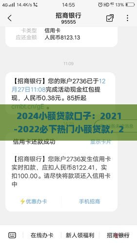 2024小额贷款口子