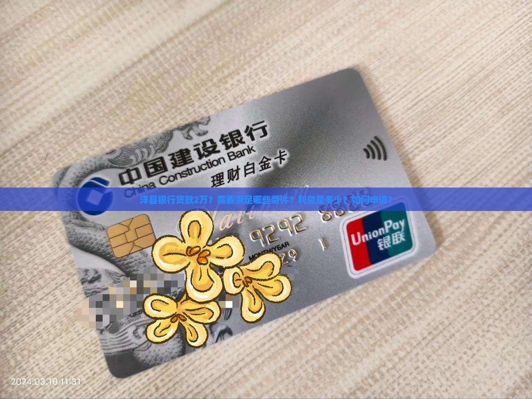 洋县银行贷款2万