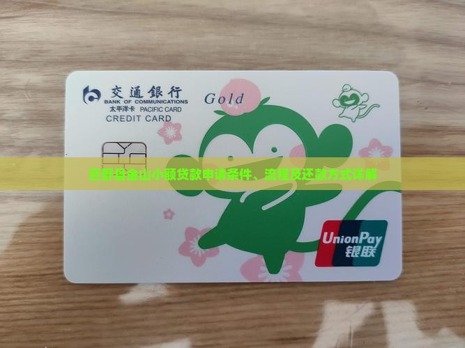巨野县金山小额贷款