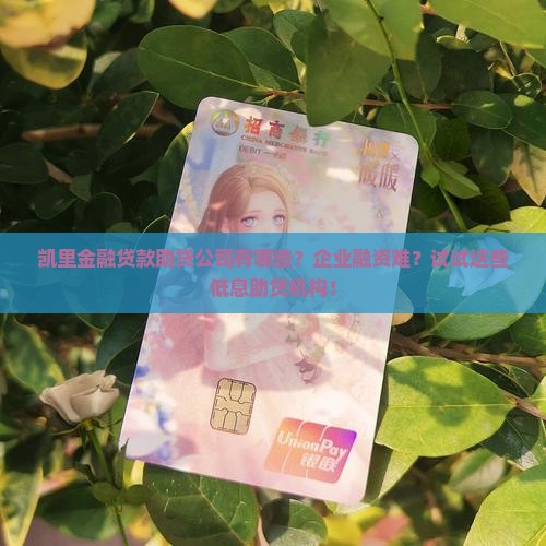 凯里金融贷款助贷公司有哪些