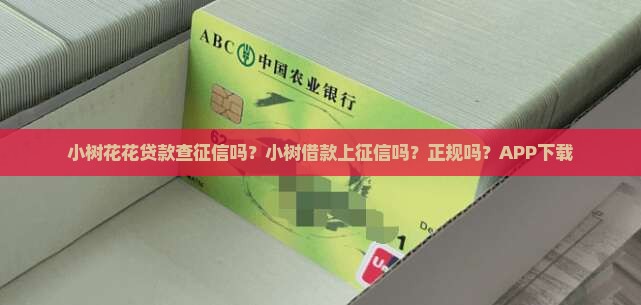 小树花花贷款查征信吗