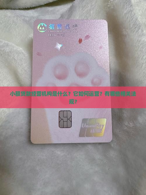 小额贷款经营机构是什么
