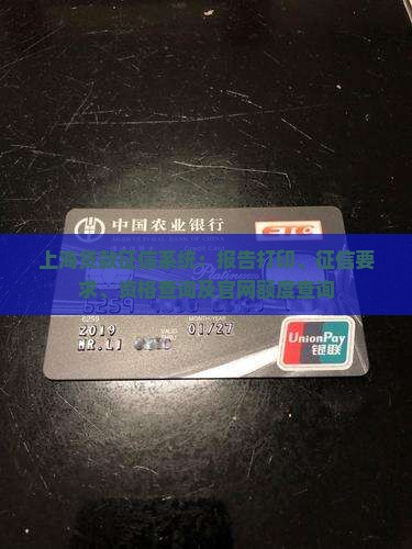 上海贷款征信系统