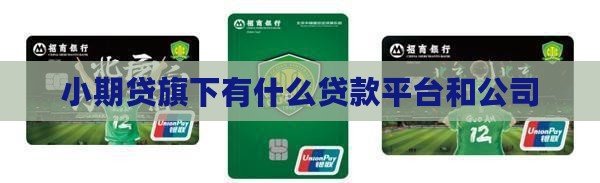 小期贷旗下有什么贷款