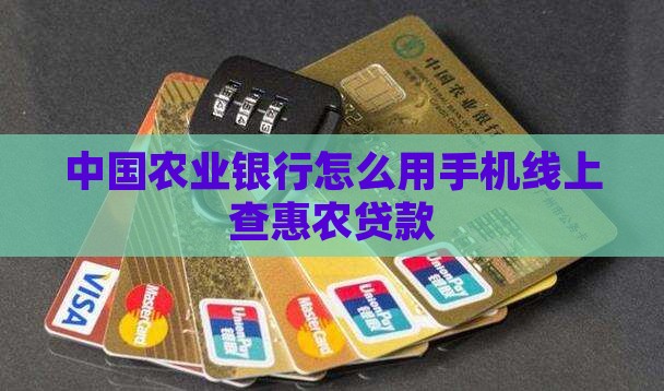 农业手机查贷款