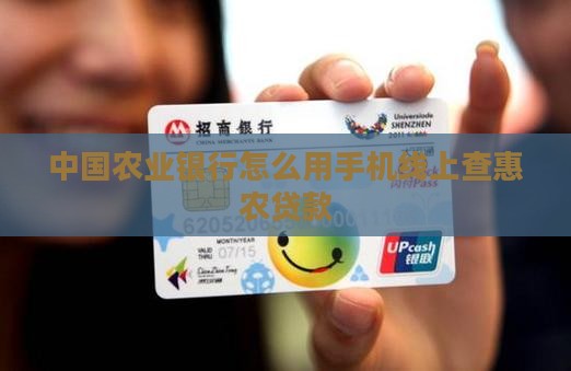 农业手机查贷款
