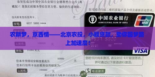 北京农投京西小额贷款