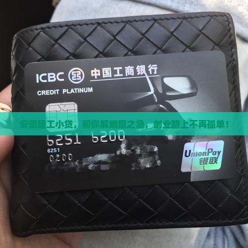 安徽省建工小额贷款