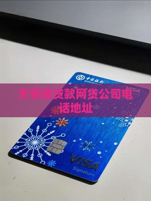 天等县贷款网贷公司电话
