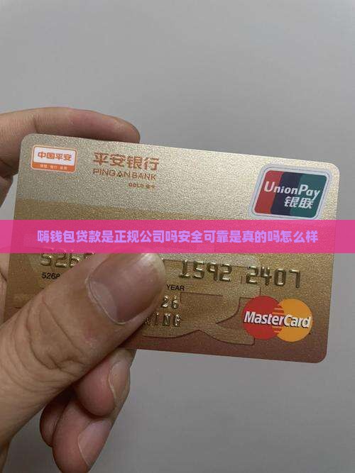 嗨钱包贷款是正规公司吗