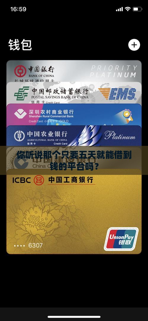 五天贷款的平台叫什么