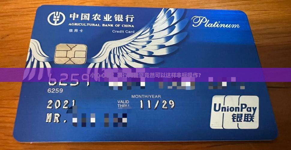农行网捷贷非标贷款