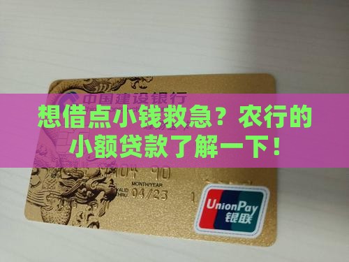 农行能小额贷款吗