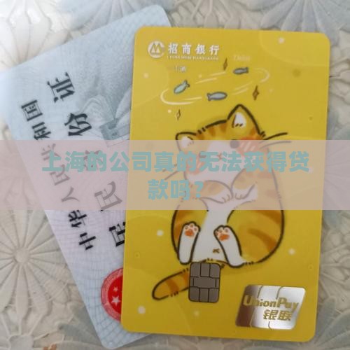 上海没有公司可以贷款吗 上海没有公司可以贷款吗