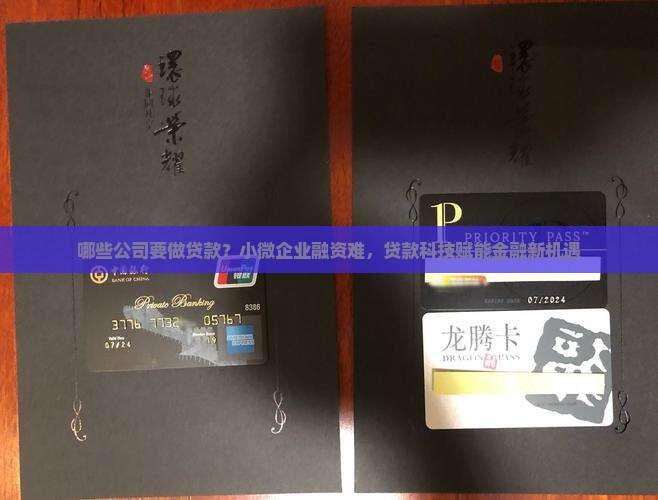 哪些公司要做贷款