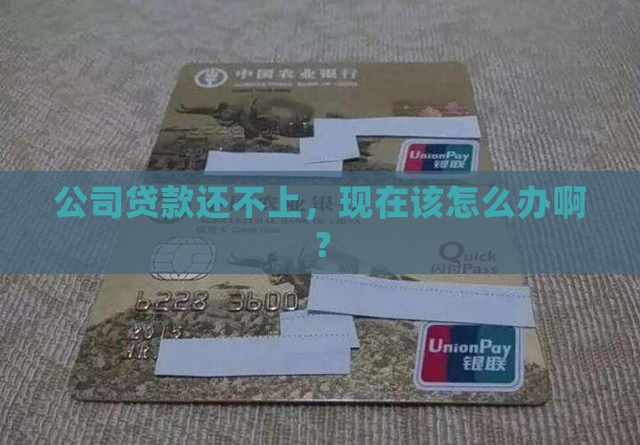 公司贷款没有办法还