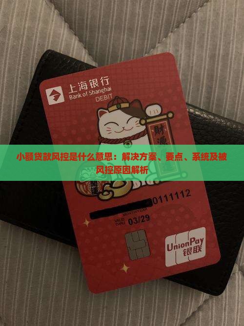 小额贷款风控是什么意思