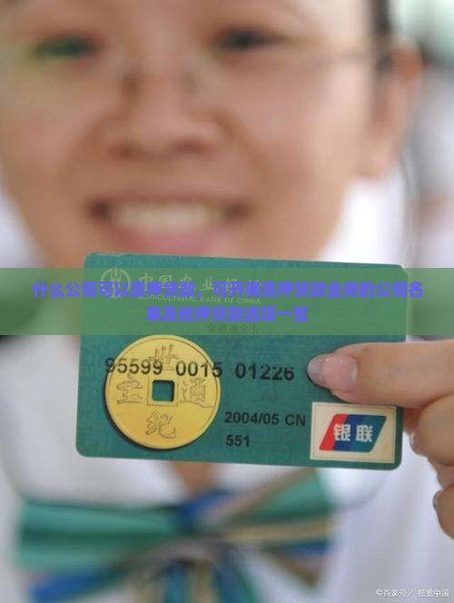 什么公司可以质押贷款