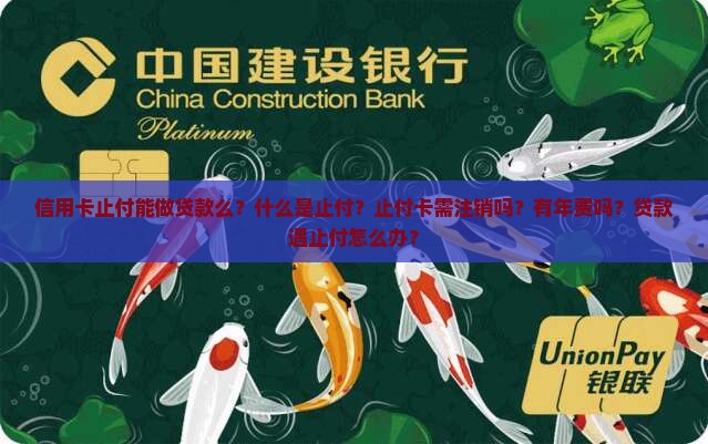 信用卡止付能做贷款么